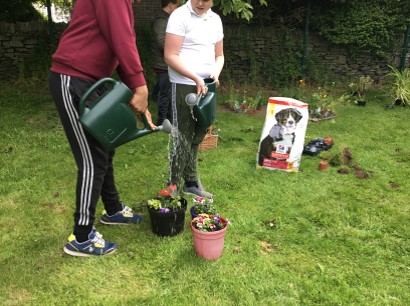 Bents green students watering their mindfulness garden